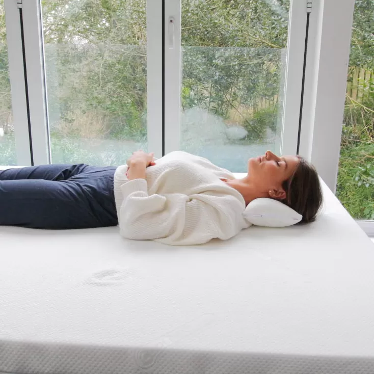 Putnams Butterfly Pillow 10 Putnams Butterfly Pillow - Image 8